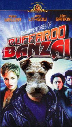 Dragon's second attempt