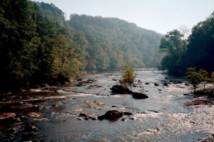 View from the train.